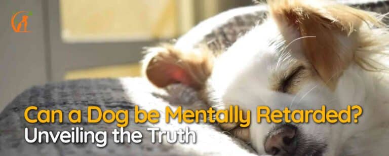 Can a Dog be Mentally Retarded? Unveiling the Truth