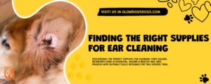 Finding The Right Supplies For Ear Cleaning