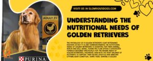 Understanding The Nutritional Needs Of Golden Retrievers