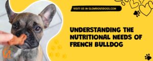 Understanding The Nutritional Needs Of French Bulldog Puppies