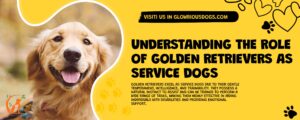 Understanding The Role Of Golden Retrievers As Service Dogs