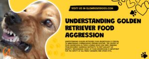 Understanding Golden Retriever Food Aggression