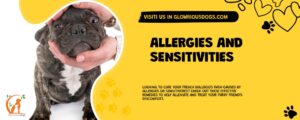 Allergies And Sensitivities