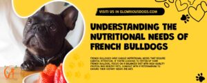Understanding The Nutritional Needs Of French Bulldogs