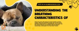 Understanding The Breathing Characteristics Of French Bulldogs