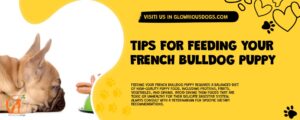 Tips For Feeding Your French Bulldog Puppy
