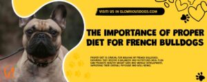 The Importance Of Proper Diet For French Bulldogs