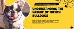 Understanding The Nature Of French Bulldogs