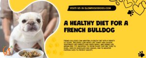 A Healthy Diet For A French Bulldog