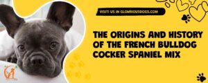 The Origins And History Of The French Bulldog Cocker Spaniel Mix