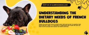 Understanding The Dietary Needs Of French Bulldogs