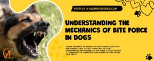 Understanding The Mechanics Of Bite Force In Dogs