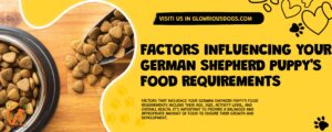 Factors Influencing Your German Shepherd Puppy'S Food Requirements