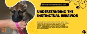 Understanding The Instinctual Behavior