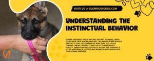 Understanding The Instinctual Behavior