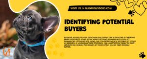 Identifying Potential Buyers