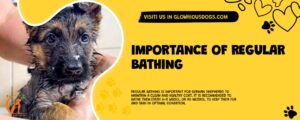 Importance Of Regular Bathing