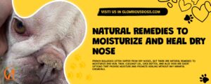 Natural Remedies To Moisturize And Heal Dry Nose