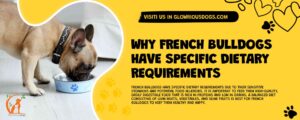 Why French Bulldogs Have Specific Dietary Requirements