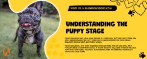 Understanding The Puppy Stage