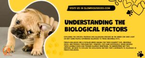 Understanding The Biological Factors