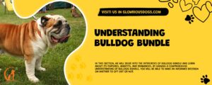 Understanding Bulldog Bundle