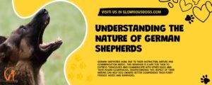 Understanding The Nature Of German Shepherds