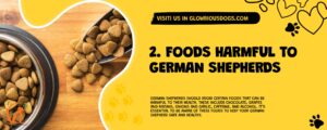2. Foods Harmful To German Shepherds
