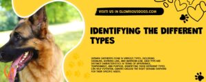 Identifying The Different Types