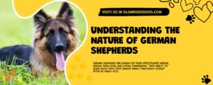 Understanding The Nature Of German Shepherds