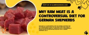 Why Raw Meat Is A Controversial Diet For German Shepherds