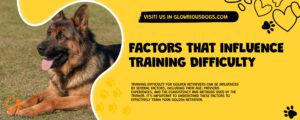 Factors That Influence Training Difficulty