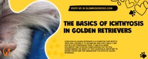 The Basics Of Ichthyosis In Golden Retrievers