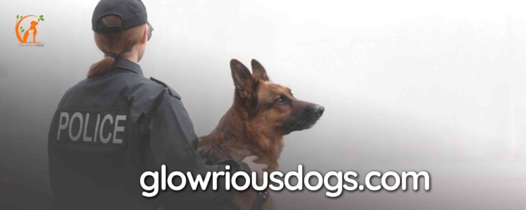 Why Do the Police Use German Shepherds: Origins and Roles