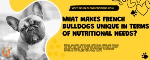What Makes French Bulldogs Unique In Terms Of Nutritional Needs?