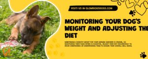 Monitoring Your Dog'S Weight And Adjusting The Diet