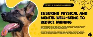 Ensuring Physical And Mental Well-Being To Reduce Whining