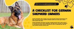 Double Coat Maintenance And Care: A Checklist For German Shepherd Owners