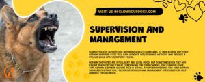 Supervision And Management