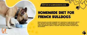 Homemade Diet For French Bulldogs