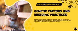 Genetic Factors And Breeding Practices