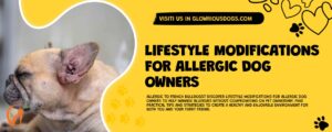 Lifestyle Modifications For Allergic Dog Owners