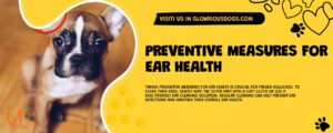 Taking preventive measures for ear health is crucial for French Bulldogs. To clean their ears, gently wipe the outer part with a soft cloth or use a dog-friendly ear cleaning solution. Regular cleaning can help prevent ear infections and maintain their overall ear health.