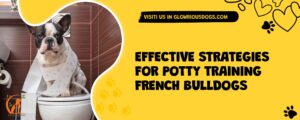 Effective Strategies For Potty Training French Bulldogs