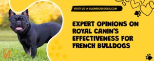 Expert Opinions On Royal Canin'S Effectiveness For French Bulldogs