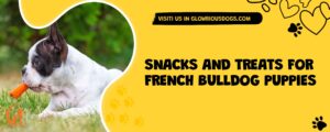 Snacks And Treats For French Bulldog Puppies