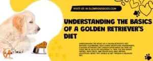 Understanding The Basics Of A Golden Retriever'S Diet