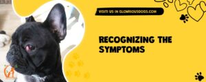 Recognizing The Symptoms