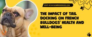 The Impact Of Tail Docking On French Bulldogs' Health And Well-Being