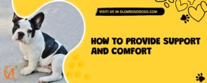 How To Provide Support And Comfort